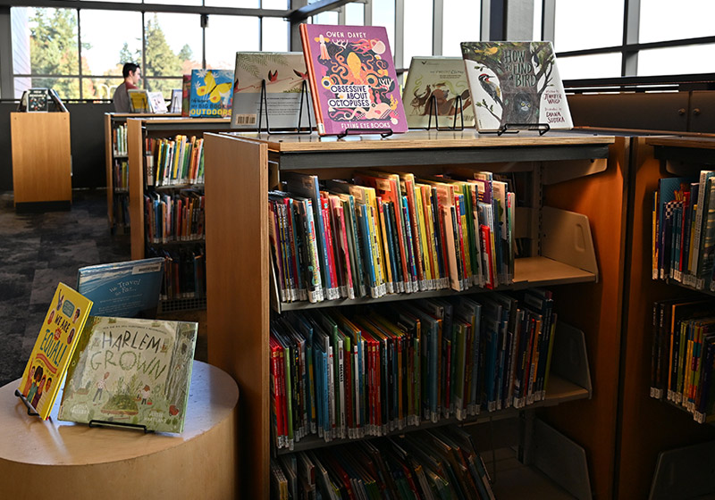 we fund collections